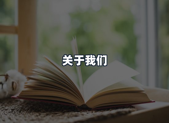 关于我们